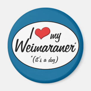 Imán Amo mi Weimaraner (es un perro)