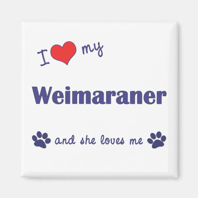 Imán Amo Mi Weimaraner (Perro Femenino) (Frente)