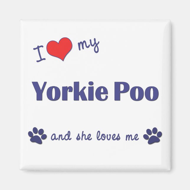 Imán Amo Mi Yorkie Poo (Perro femenino) (Frente)
