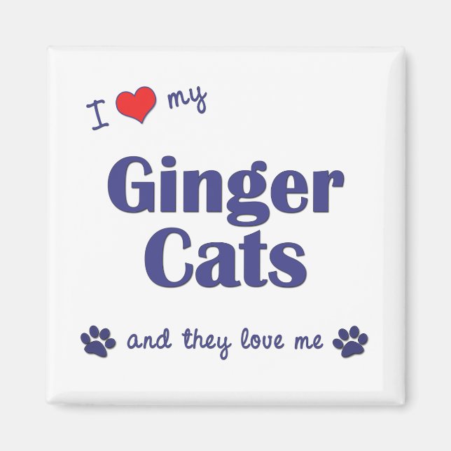 Imán Amo Mis Gatos De Ginger (Múltiples Gatos) (Frente)