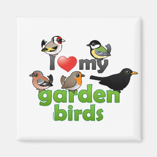 Imán Amo mis pájaros del jardín