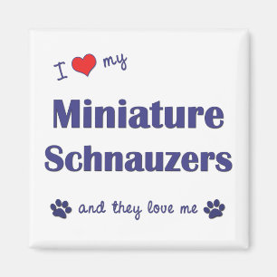 Imán Amo mis Schnauzers miniatura (los perros