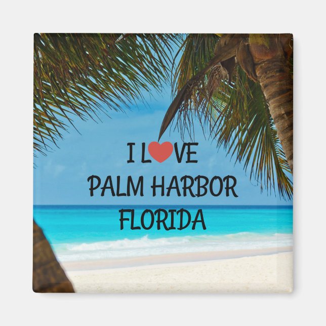 Imán Amo Palm Harbor, Florida (Frente)