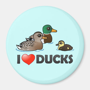 Imán Amo patos