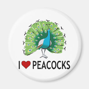 Imán Amo pavos reales