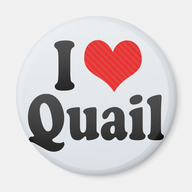 Imán Amo Quail (Frente)