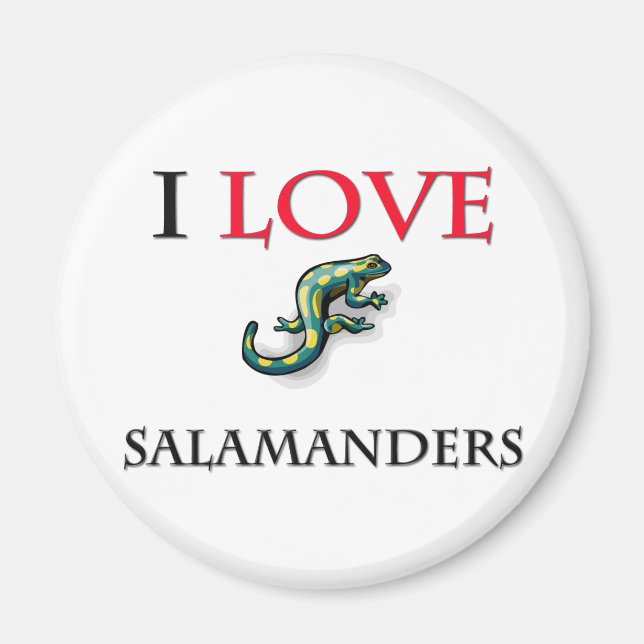 Imán Amo Salamanders (Frente)