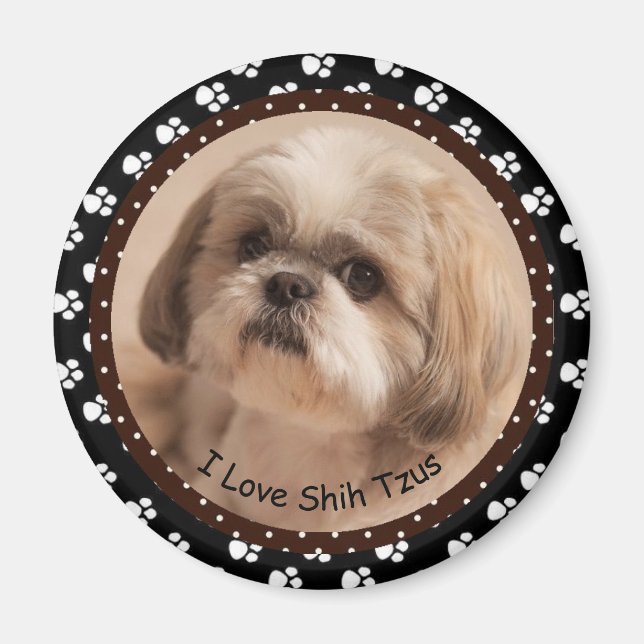Imán Amo Shih Tzus Magnet (Frente)