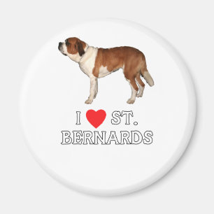 Imán Amo St. Bernards