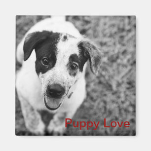 Imán Amor adolescente