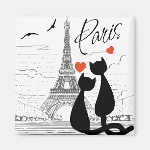 Imán Amor al gato en París