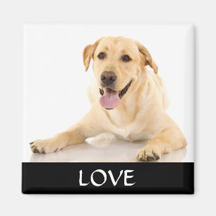 Imán Amor Amor Amarillo Labrador Retreiver Magnet