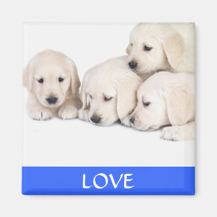 Imán Amor Amor Labrador Retreiver Cachorros Magnífico