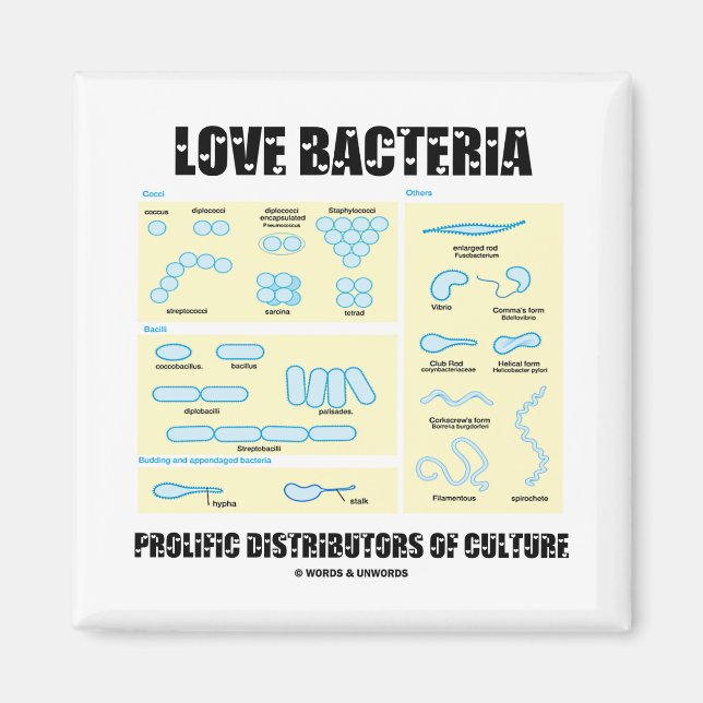 Imán Amor Bacteria Distribuidores Prolíficos De Cultura (Frente)