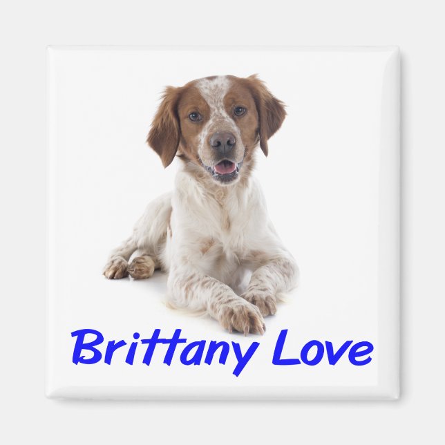 Imán Amor Brittany Spaniel Cachorro Perro (Frente)