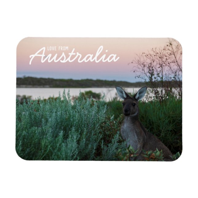 Imán Amor De Australia Kangaroo Sunset Lake Magnet (Horizontal)