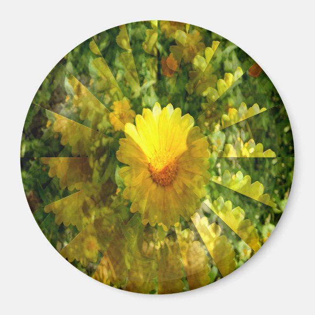 Imán Amor de Calendula...... (Frente)