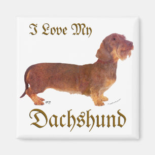 Imán Amor de Dachshund