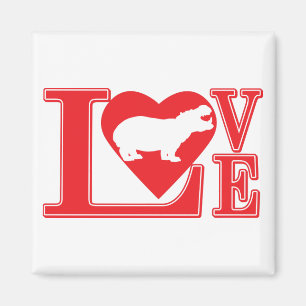 IMÁN AMOR DE HIPPO