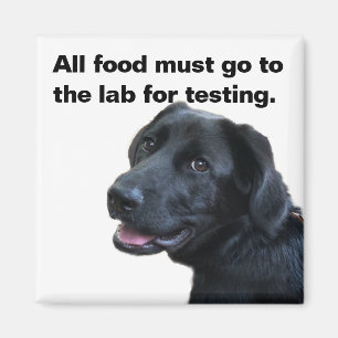 Imán Amor de Labrador