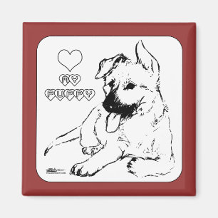 Imán Amor de las putas