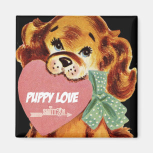 Imán Amor de las putas