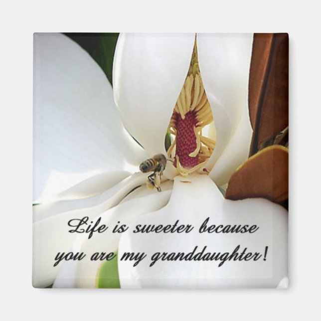 Imán Amor de nietos (Frente)