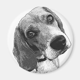 Imán Amor del beagle