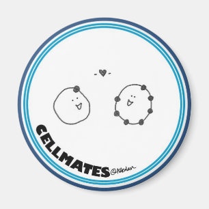 Imán Amor del electrón