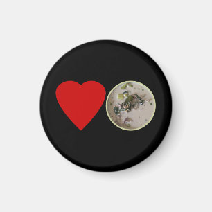 Imán Amor el curry verde tailandés ... Comida callejer