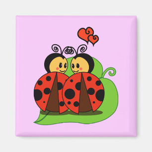 Imán Amor en la primera vista