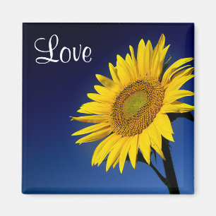 Imán Amor Girasol Amarillo Con Cielo Azul