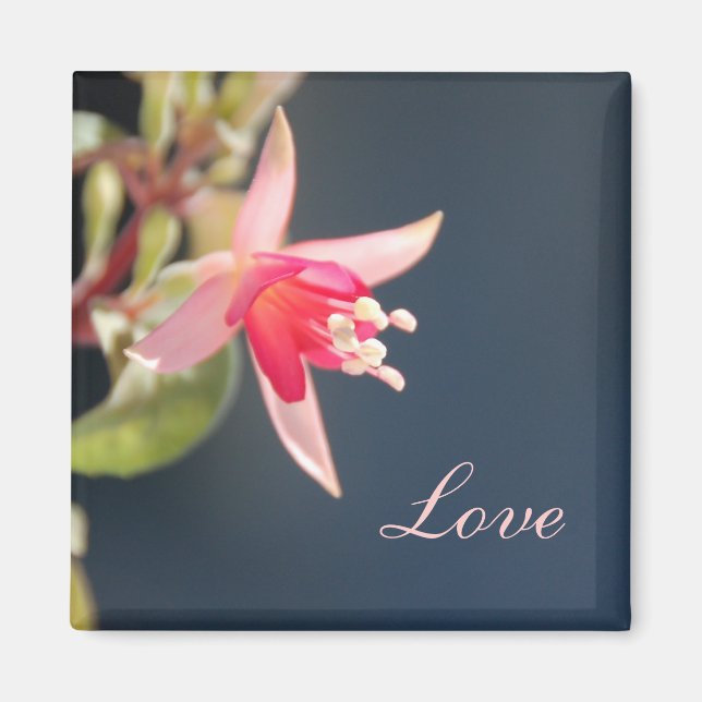 Imán Amor Magnet (Frente)