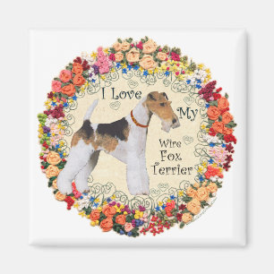 Imán Amor por el Fox Terrier de Pelo de Alambre