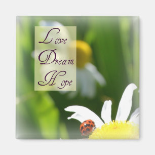 Imán Amor, Sueño, Hope Ladybug Magnet