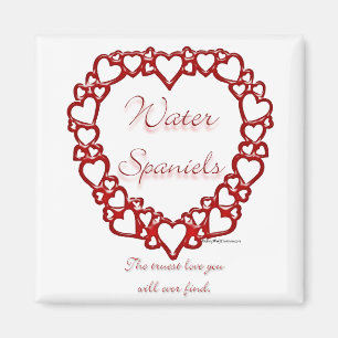 Imán Amor verdadero español del agua estadounidense