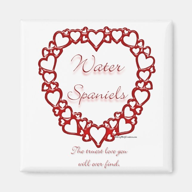 Imán Amor verdadero español del agua estadounidense (Frente)