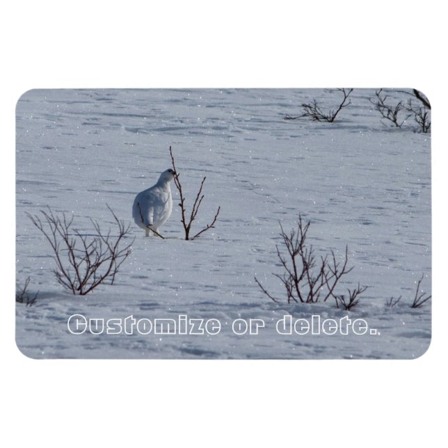 Imán Amortiguamiento de Ptarmigan; Personalizable (Horizontal)