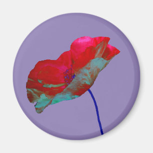 Imán Ampollas rojas en morado caliente
