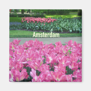 Imán Amsterdam