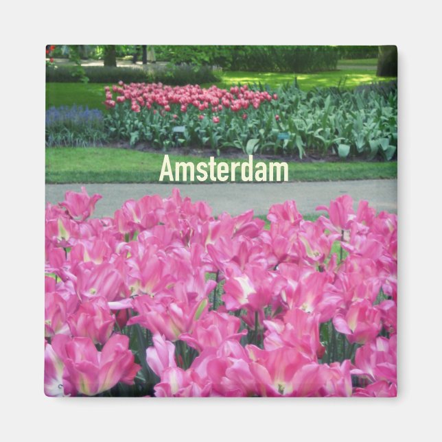 Imán Ámsterdam (Frente)