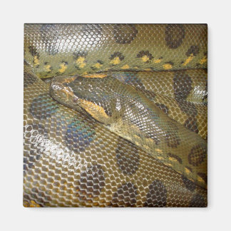 Imán Anaconda verde