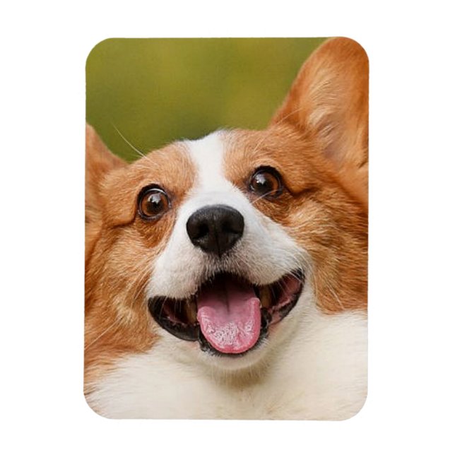 Imán Añadir foto de perro personalizada (Vertical)
