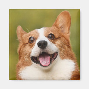 Imán Añadir foto de perro personalizada