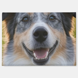 Imán Añadir Personalizar de fotografía Mascota