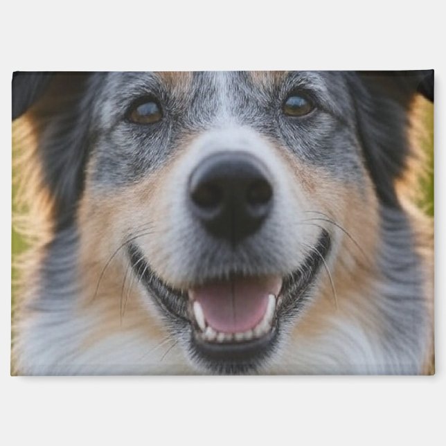 Imán Añadir Personalizar de fotografía Mascota (Anverso)