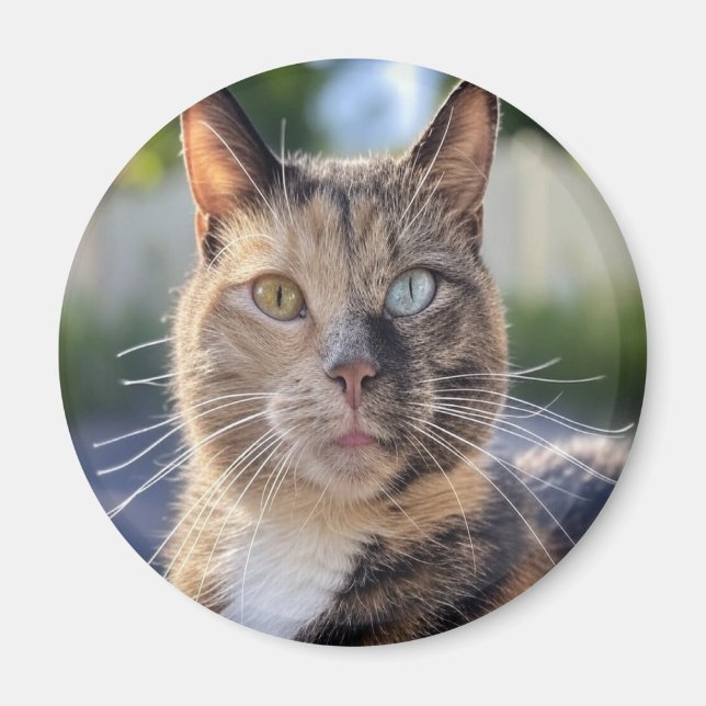 Imán Añadir Personalizar de fotos de gato (Frente)