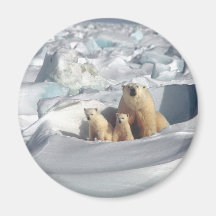 Añadir SLOGAN para salvar el hielo del planeta de