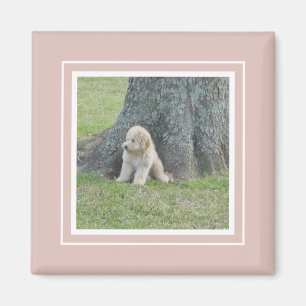 Imán Añadir tu foto a la casa de campo moderna rosa y b