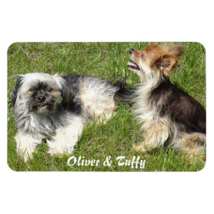 Imán Añadir tu foto favorita